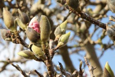 Horoskop Frühling