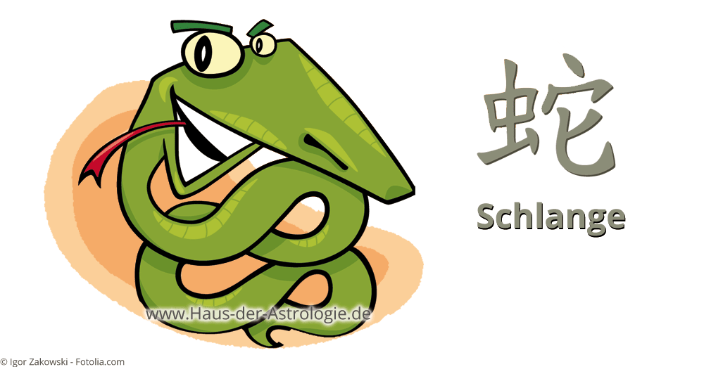 sternzeichen schlange social